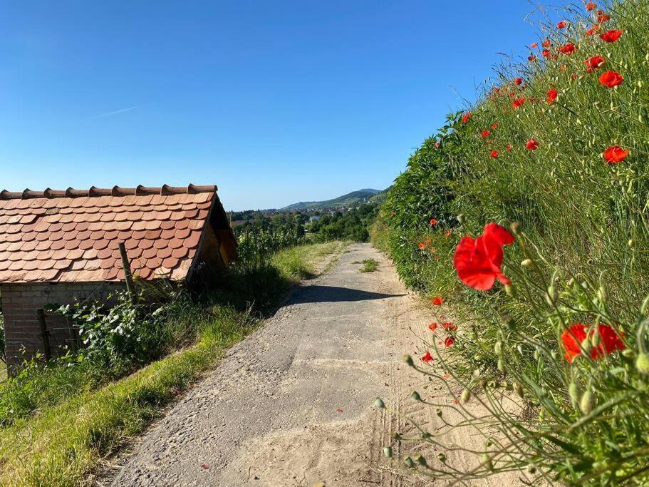 Acapella Suite Adagio 54Qm, Direkt Am Weinberg, Altstadt, Netflix Inklusive Heppenheim  Bagian luar foto