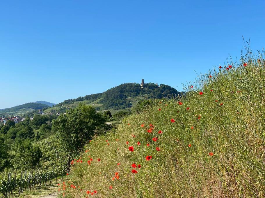 Acapella Suite Adagio 54Qm, Direkt Am Weinberg, Altstadt, Netflix Inklusive Heppenheim  Bagian luar foto